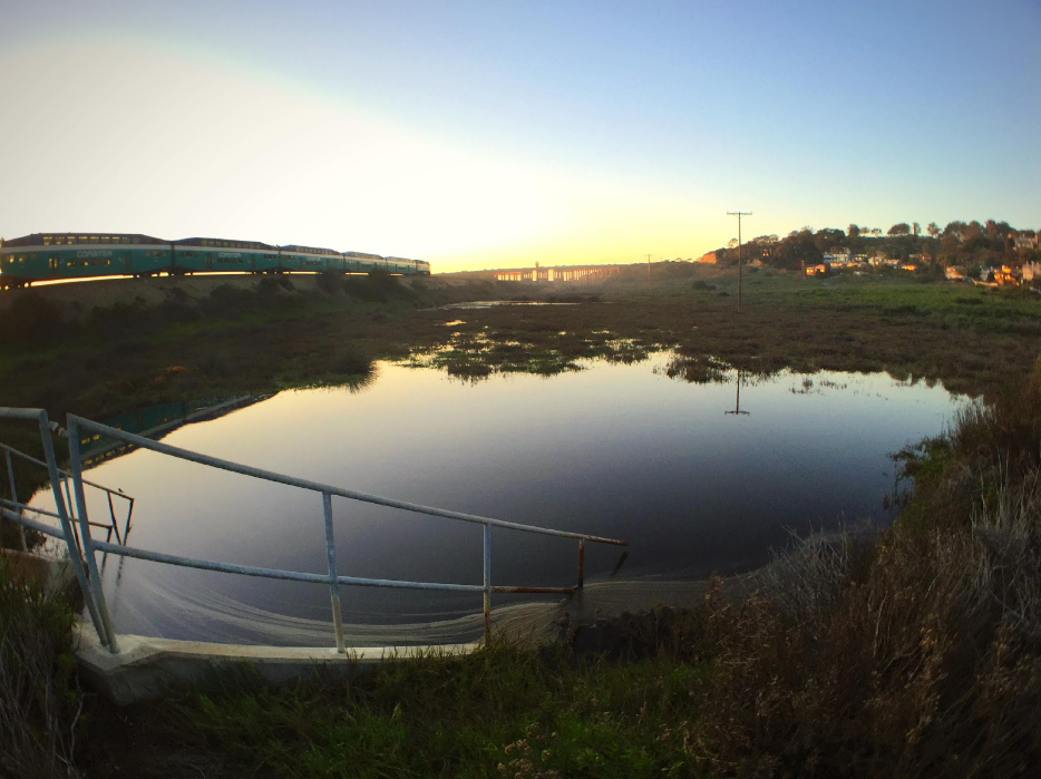 A southbound Coaster commuter railcar passes a Torrey Pines State Reserve marsh located off McGonigle Road. Marshes serve as perfect breeding grounds for mosquitos as they thrive off damp landscapes. Several San Diego communities are situated around wetlands including Mission Bay, Torrey Pines State Reserve, San Elijo Lagoon, Batiquitos Lagoon, Agua Hedionda, and Buena Vista Lagoon, exemplifying how close human developments are to possible life-threatening outbreaks.