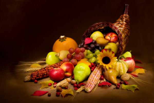 Terzoli, Krivacek share their Thanksgiving traditions 