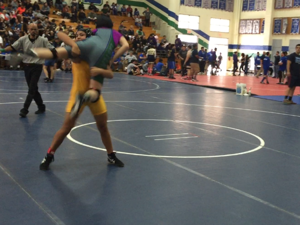 In yellow, Michaela wrestles an opponent.