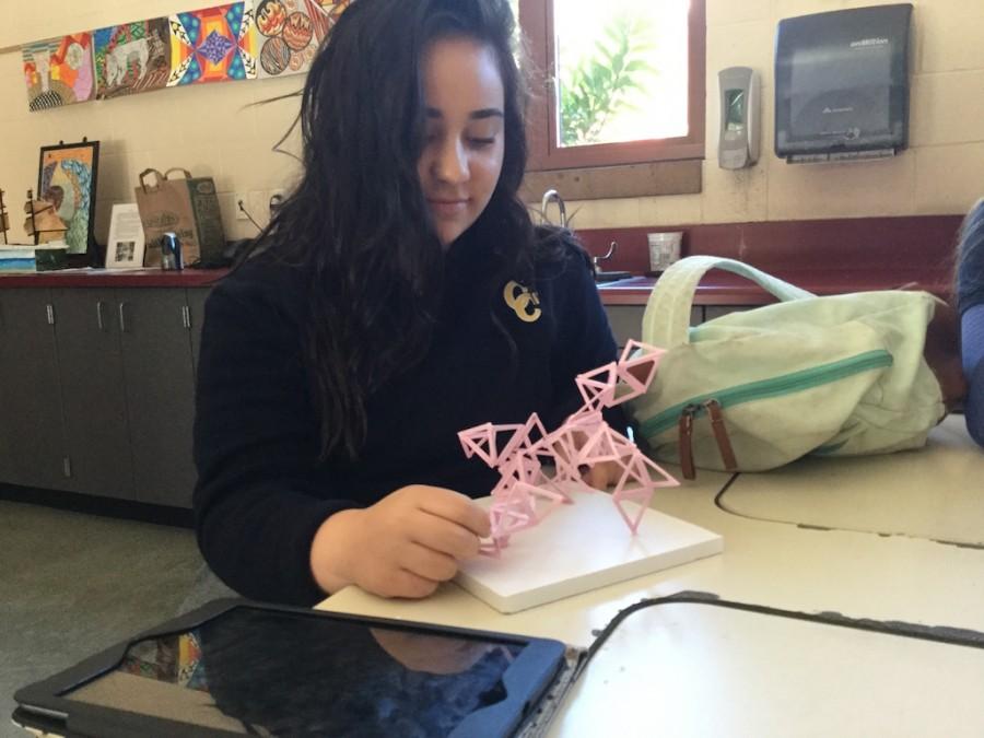 Ms. Kristen Brandeberry’s foundation in visual arts class has begun working on 3D sculptures. Elizabeth Rott ‘18 has completed her modular sculpture for the class project. 