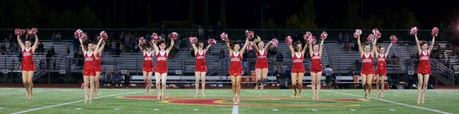 Dance team dazzles with pom-poms and smiles.