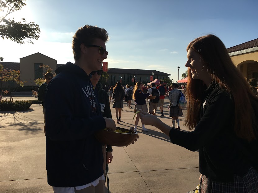At at time when one in five Americans will statistically take his/her life, CCHS campus ministers Grant Mcdonald 17 and Oliviah Simms 17 work to beat the odds on Yellow Ribbon Dayby handing out yellow ribbons to CCHS students. The event brings awareness to suicide prevention efforts.