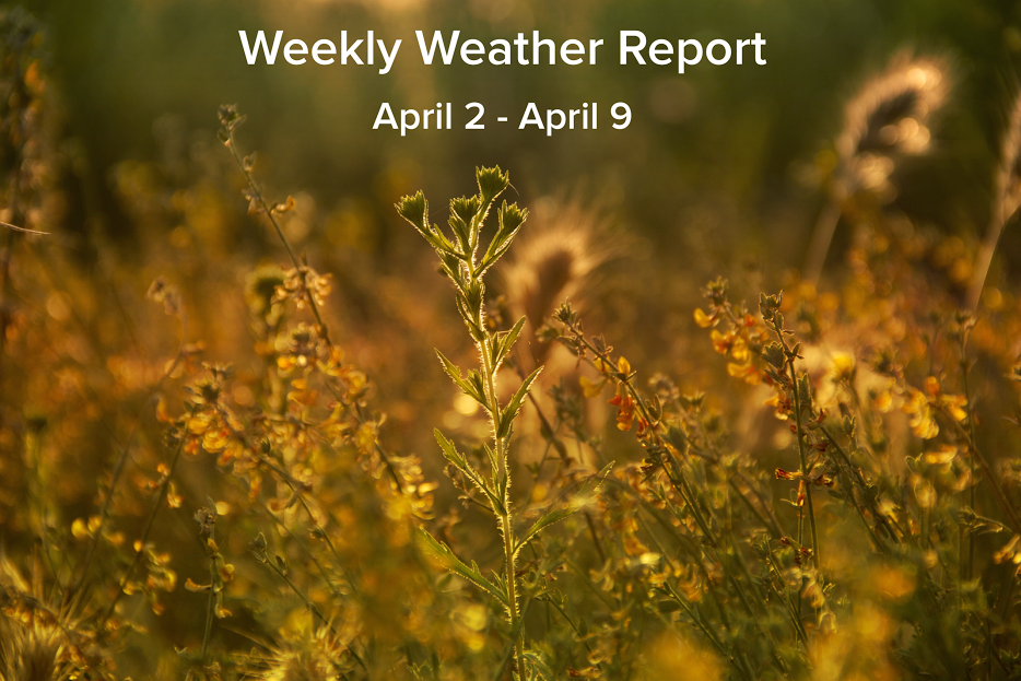 A warning trend will benefit the growth of many areas that have not seen this amount of foliage in years.
