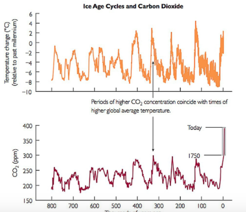 This graph shows the correlation between average global temperatures and higher CO2 concentrations, which  many scientists associate with global warming.