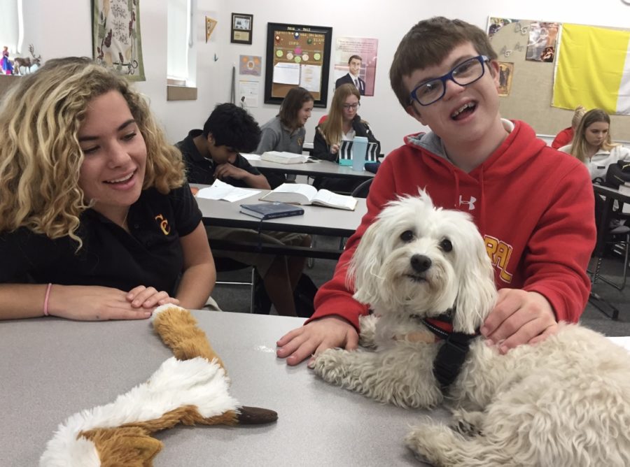 Options student Thomas Bryne ‘20 and his mentor Mary Henderson ‘18 play with Ms. Amanda Gustafson’s dog Chantilly, a certified therapy dog, who through the organization Caring Paws, brings a little bit of happiness to the stress of finals. 