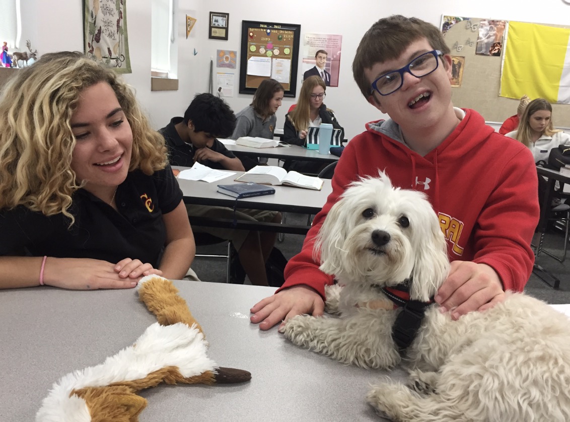 Options student Thomas Bryne ‘20 and his mentor Mary Henderson ‘18 play with Ms. Amanda Gustafson’s dog Chantilly, a certified therapy dog, who through the organization Caring Paws, brings a little bit of happiness to the stress of finals.
