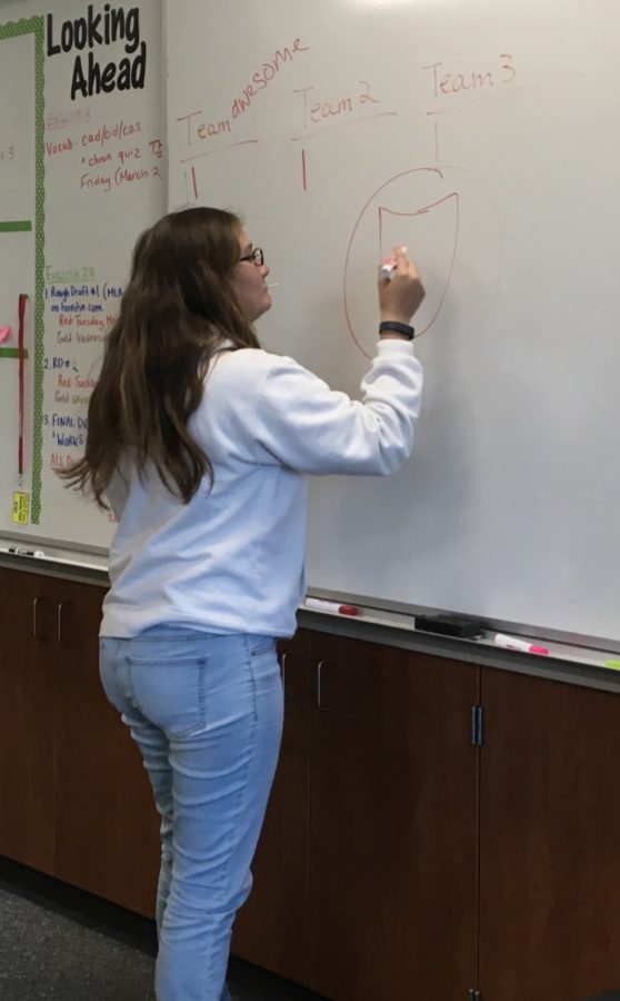 Margaret Farrell 19 plays Pictionary during a meeting for the Harry Potter Club.