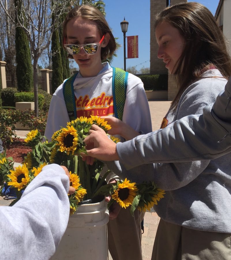 Kristin Logemann 20 and Dons For Life member Matthew Apalatea distribute at lunch Wednesday to spread joy on campus and honor Suicide Prevention Week. 