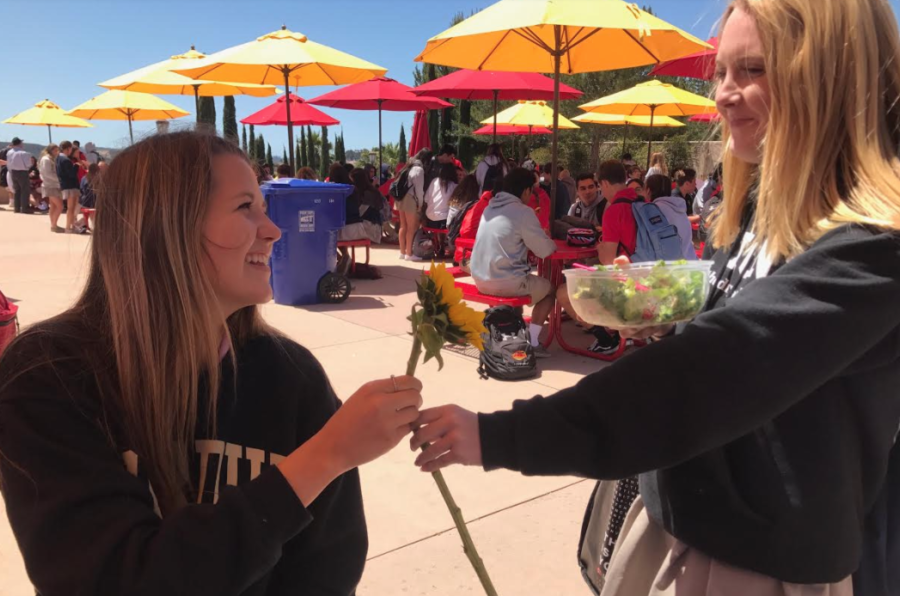 Spenser Yousko 19 brightens the day of her classmate, Sydney Sparks 19, by gifting her a sunflower and a smile from the Dons for Life Suicide Prevention Week prayer service. 