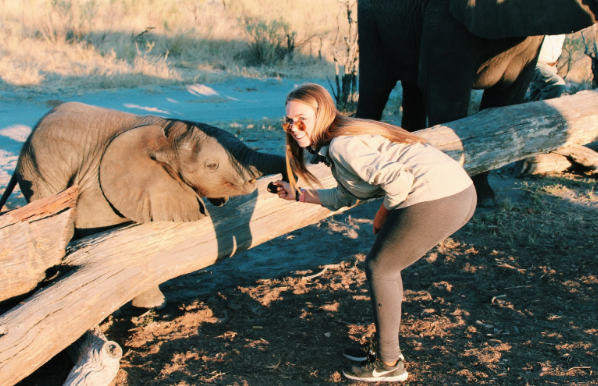 CCHS student Claire Mollenkopf ‘19 poses with one of her favorite animals in Botswana, Africa. Mollenkopf is no stranger to interacting with plenty of wild animals as she has visited Africa twice.
