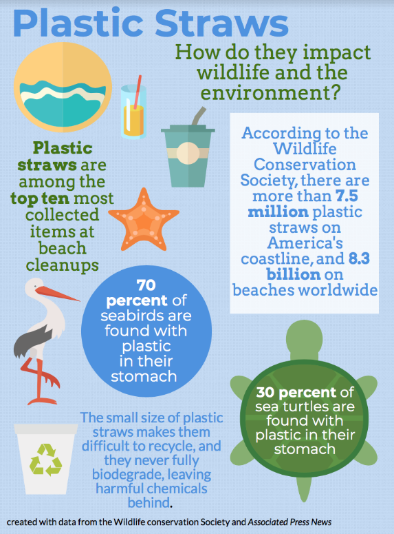 Say No to Plastic Straws: Help Protect Wildlife and the