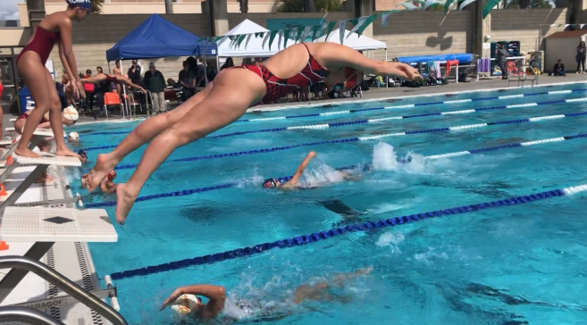 Bree Flores ‘20 (above) dives into the pool to swim the breastroke portion of the 200 yard medley relay as Jia Budelsky ‘22 (below) finishes the backstroke portion of the event at the meet against Scripps Ranch High School on Friday. 
