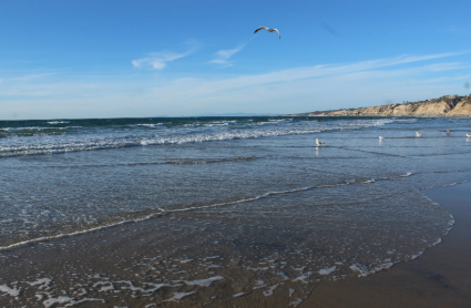 La Jolla Shores are popular for their wide sandy beaches and clear waters.