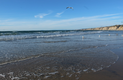 La Jolla Shores