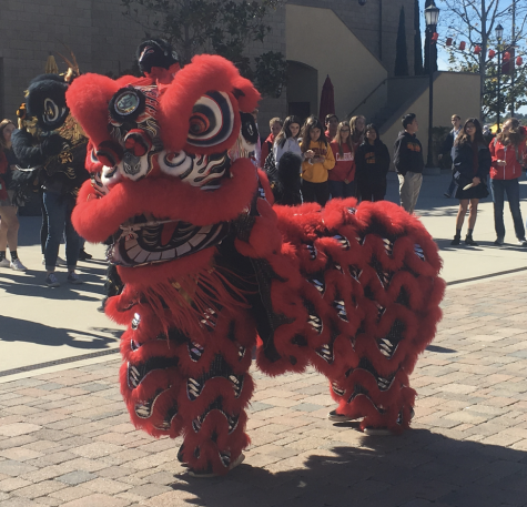 CCHS celebrated last years Lunar New Year with a traditional Chinese dragon dance at lunch. A similar performance will occur tomorrow.