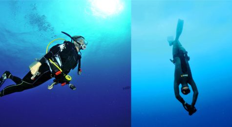 A scuba diver and a freediver are both swimming in the ocean, and the difference in equipment and form is displayed.
