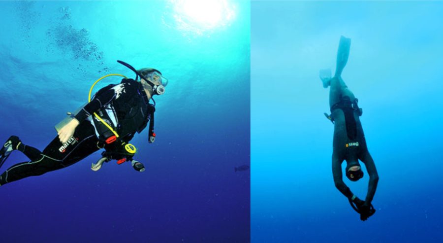 A+scuba+diver+and+a+freediver+are+both+swimming+in+the+ocean%2C+and+the+difference+in+equipment+and+form+is+displayed.%0A