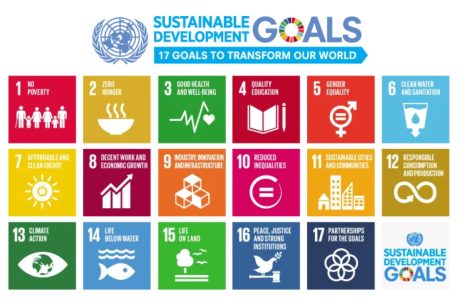The Sustainable Development Goals was set by the United Nations and creates a lofty goal for the world to achieve. In the context of Covid 19, should we push back the end date of the goals?