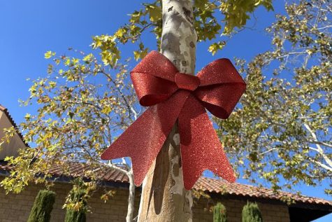 Red ribbons were displayed around the CCHS campus in support of Red Ribbon Week.
