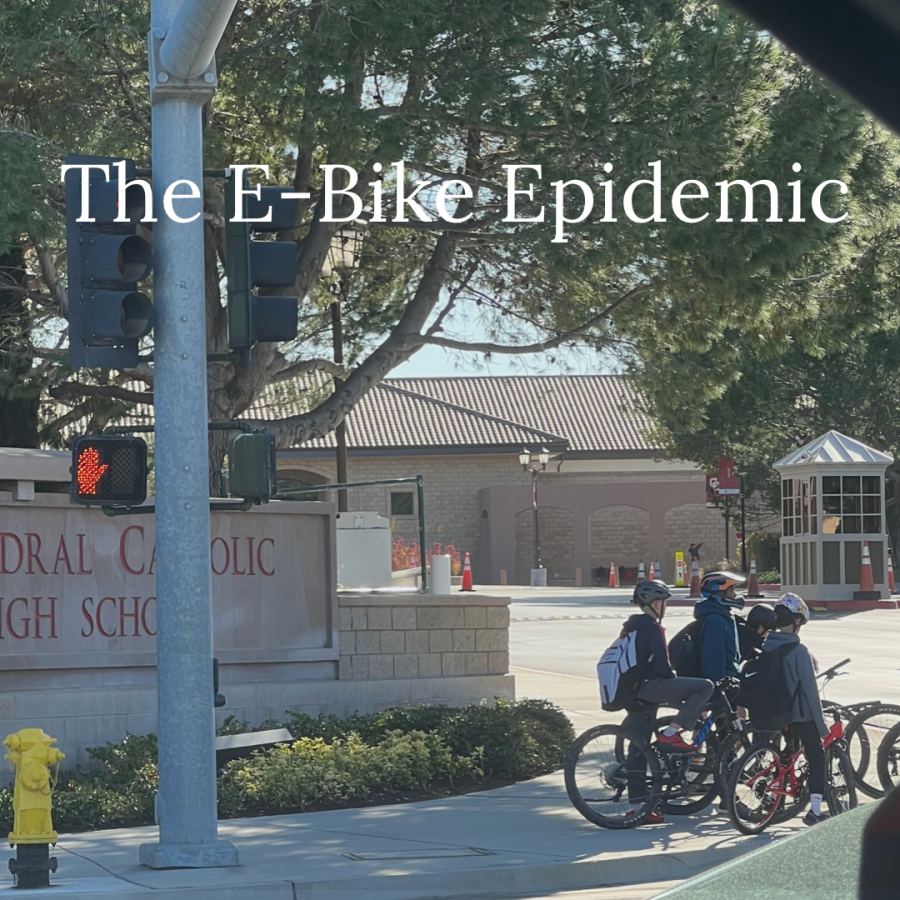 Increasing amounts of bikers around Del Mar Heights Rd. have led to problems. Disrespect and lack of knowledge of the road by these young bikers has been a detriment to young people’s reputation in the eyes of businesses and adults in the area.