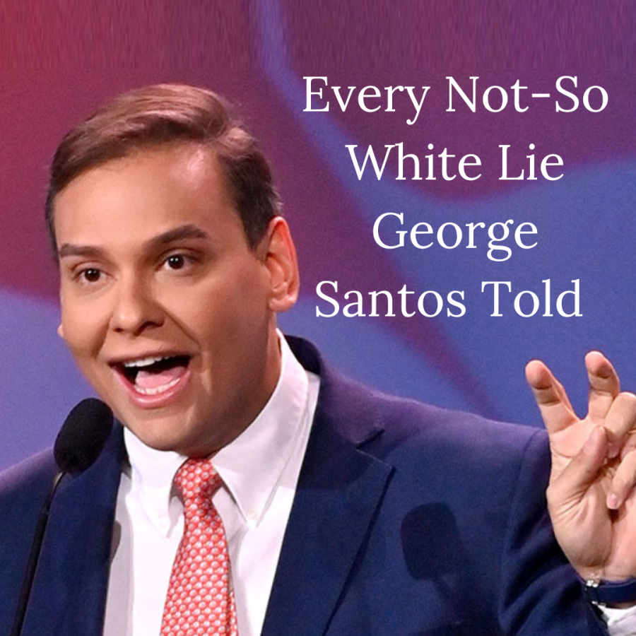 Many outlets call out George Santos for extreme fabrications in his resume that invalidate his position. He lied about past careers, schooling, charities, funds, and even his ancestry and family to name a few.