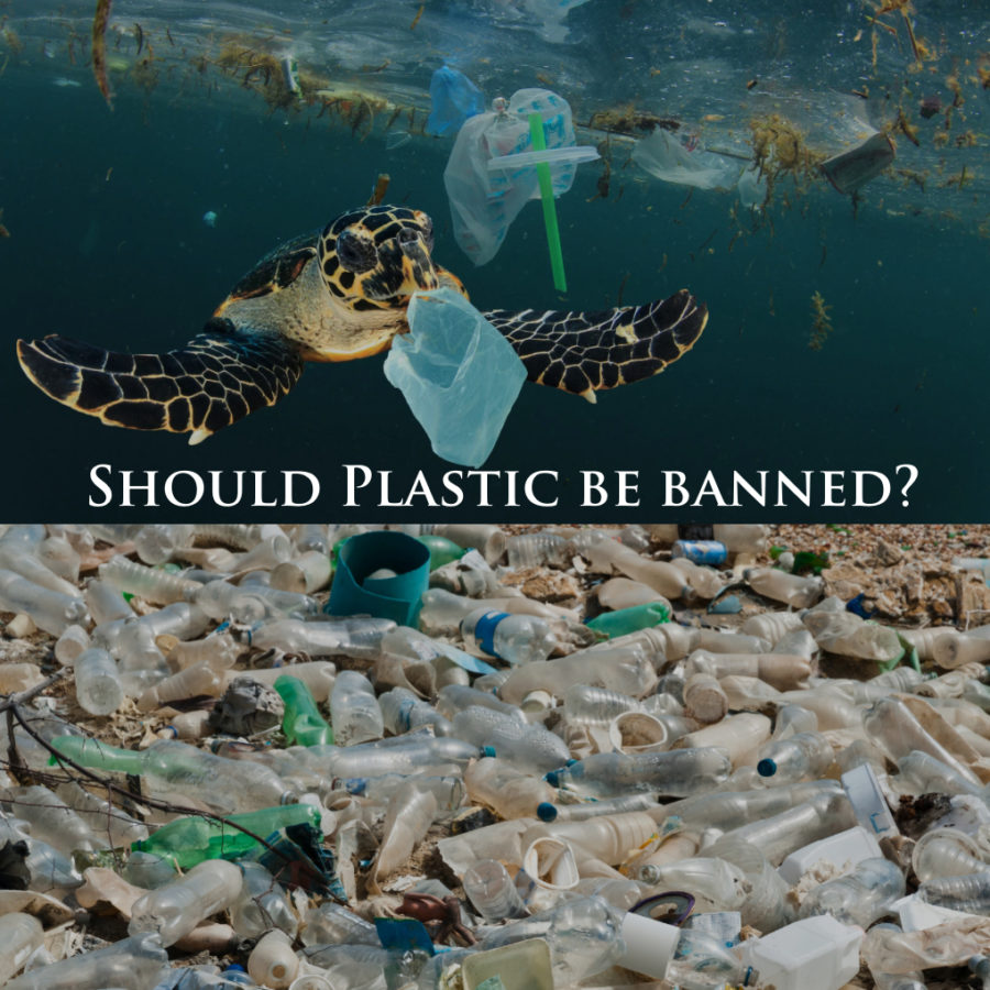 Environmentally healthy resources for usage of packaging? Banning plastic for good? What can is happening, and what can we do to stop it? Read more on ELCid.