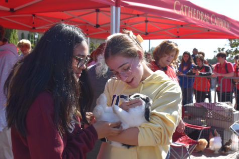 During Red Ribbon Week, students are able to experience various activities that promote community and love. On this day, a petting zoo came onto campus, and students spent time with cute animals!