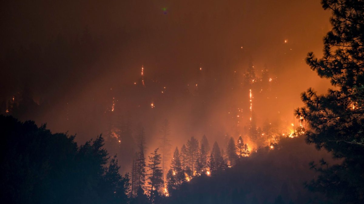 Beginning on September 8th, three different fires have destroyed California homes and land, destroying more than 115,000 acres of luscious California land and burning about 240 structures to the ground. 

Photo from Unsplash