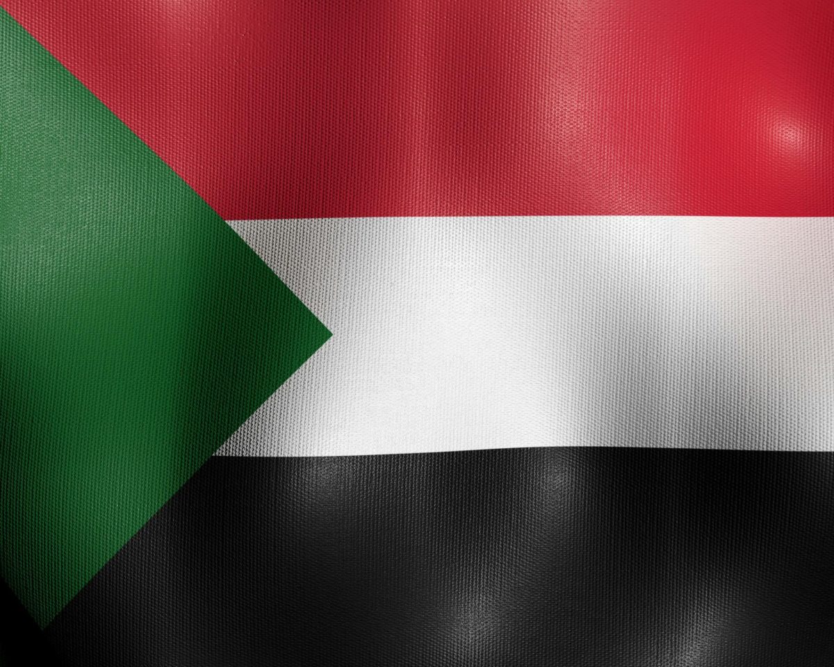 Sudan is the third-largest country in Africa, and over half its population is experiencing acute food insecurity. The war and famine in Sudan tends to be underreported on major news outlets.

Photo by Unsplash