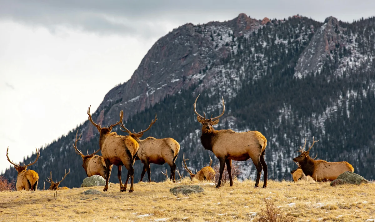 Protecting biodiversity means preserving life’s balance and ensuring all life is taken care of.

Photo by Ryan Noeker on Unsplash