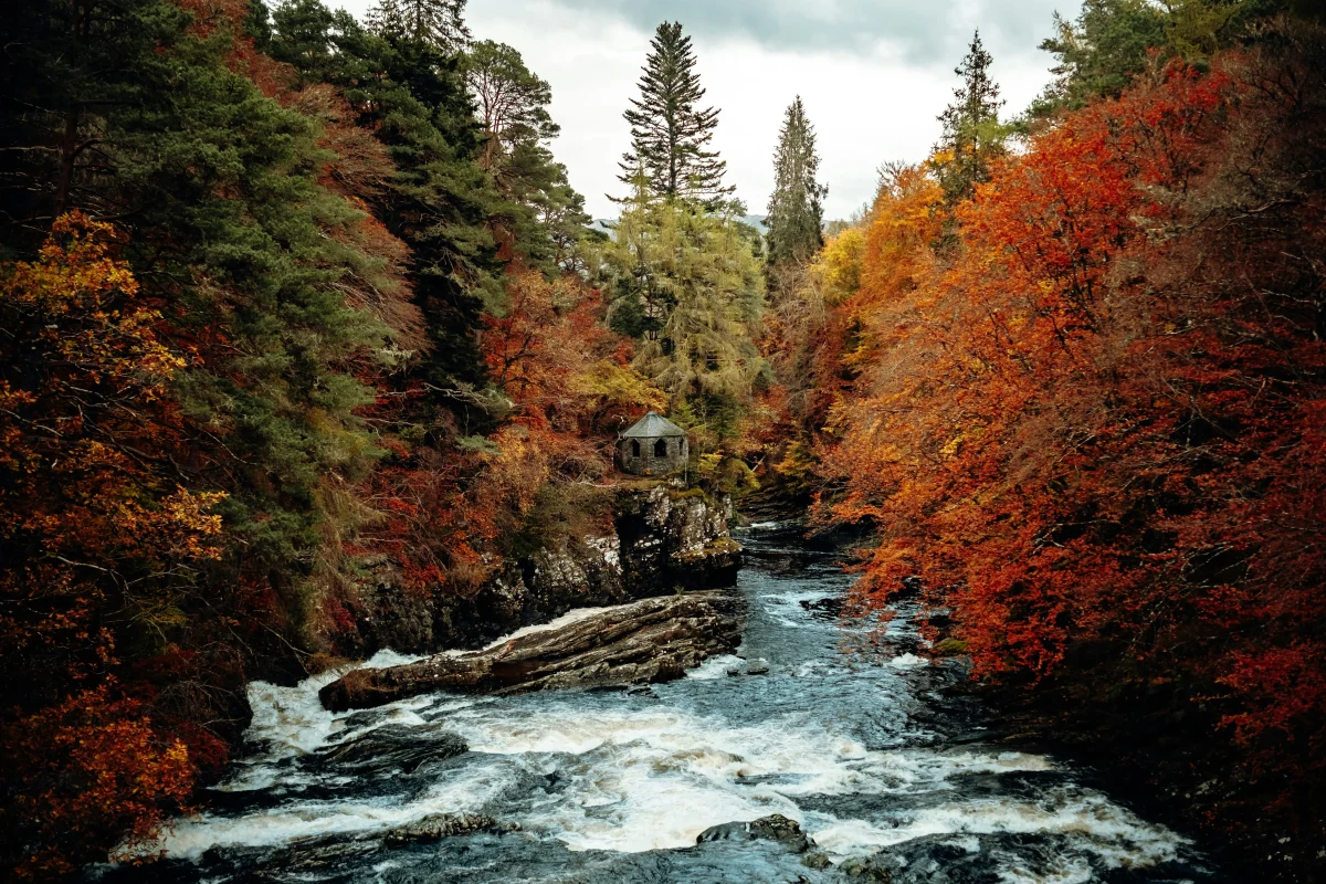 While many enjoy the beauty of fall, it is also a time where the lack of daylight can lead to decreased energy and motivation.