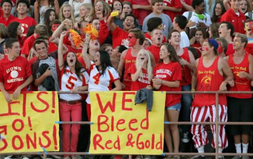 This is what spirit looks like