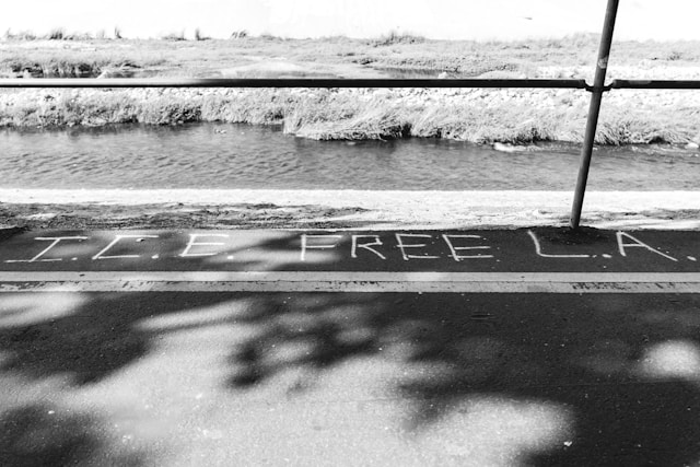 Sidewalk art in Los Angelos stating the words ICE FREE LA during the ICE raids